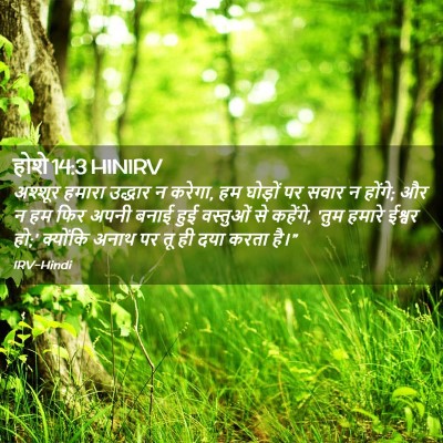 Picture 02 - होशे 14:3 HINIRV - अश्शूर हमारा - Bible Verse Picture