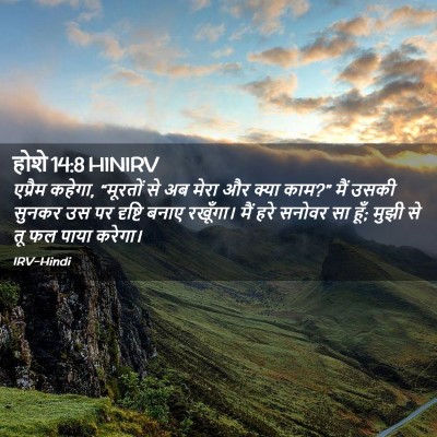 Picture 02 - होशे 14:8 HINIRV - एप्रैम कहेगा, - Bible Verse Picture
