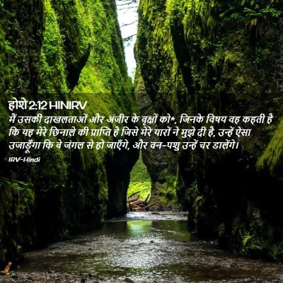 Picture 02 - होशे 2:12 HINIRV - मैं उसकी दाखलताओं - Bible Verse Picture