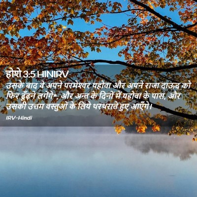 Picture 02 - होशे 3:5 HINIRV - उसके बाद वे अपने - Bible Verse Picture