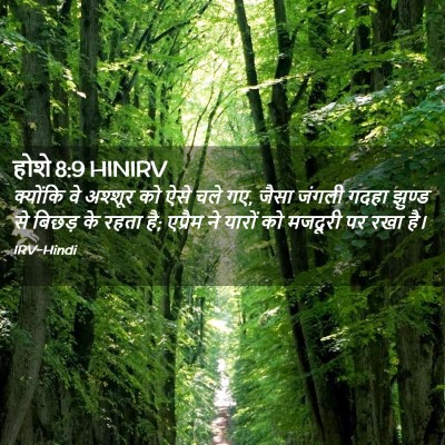 Picture 02 - होशे 8:9 HINIRV - क्योंकि वे अश्शूर - Bible Verse Picture