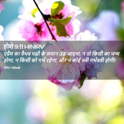 Picture 02 - होशे 9:11 HINIRV - एप्रैम का वैभव - Bible Verse Picture