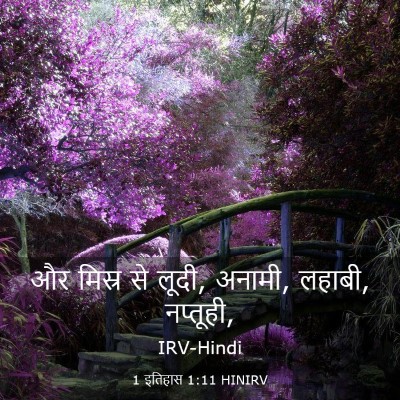 Picture 03 - 1 इतिहास 1:11 HINIRV - और मिस्र से लूदी, - Bible Verse Picture