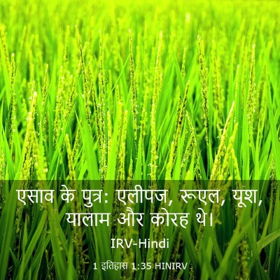 Picture 03 - 1 इतिहास 1:35 HINIRV - एसाव के पुत्र: - Bible Verse Picture