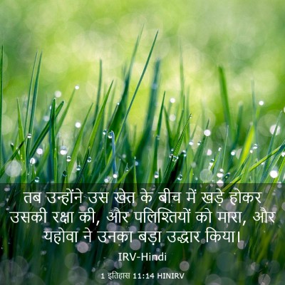 Picture 03 - 1 इतिहास 11:14 HINIRV - तब उन्होंने उस खेत - Bible Verse Picture