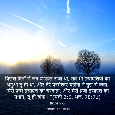 Picture 03 - 1 इतिहास 11:2 HINIRV - पिछले दिनों में जब - Bible Verse Picture