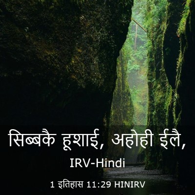 Picture 03 - 1 इतिहास 11:29 HINIRV - सिब्बकै हूशाई, - Bible Verse Picture