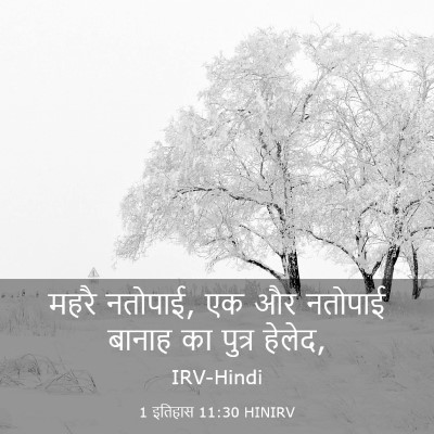 Picture 03 - 1 इतिहास 11:30 HINIRV - महरै नतोपाई, एक और - Bible Verse Picture