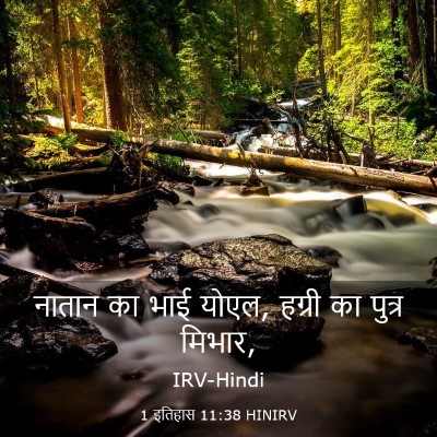 Picture 03 - 1 इतिहास 11:38 HINIRV - नातान का भाई योएल, - Bible Verse Picture