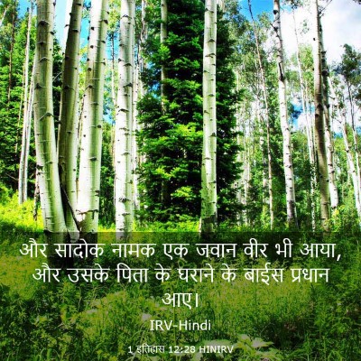 Picture 03 - 1 इतिहास 12:28 HINIRV - और सादोक नामक एक - Bible Verse Picture