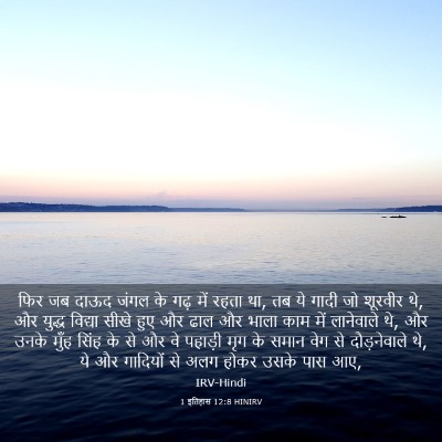 Picture 03 - 1 इतिहास 12:8 HINIRV - फिर जब दाऊद जंगल के - Bible Verse Picture