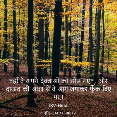 Picture 03 - 1 इतिहास 14:12 HINIRV - वहाँ वे अपने - Bible Verse Picture