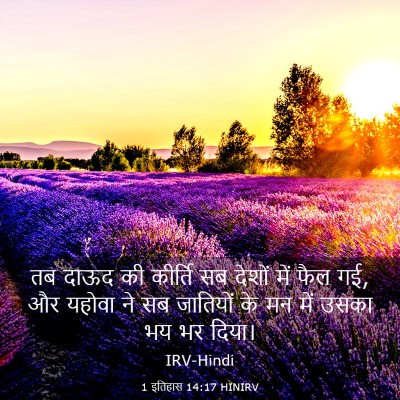 Picture 03 - 1 इतिहास 14:17 HINIRV - तब दाऊद की कीर्ति - Bible Verse Picture