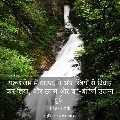 Picture 03 - 1 इतिहास 14:3 HINIRV - यरूशलेम में दाऊद - Bible Verse Picture