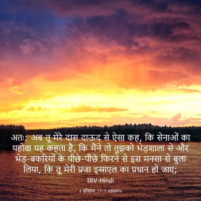 Picture 03 - 1 इतिहास 17:7 HINIRV - अतः: अब तू मेरे दास - Bible Verse Picture