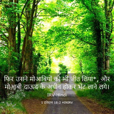 Picture 03 - 1 इतिहास 18:2 HINIRV - फिर उसने मोआबियों - Bible Verse Picture