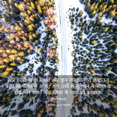 Picture 03 - 1 इतिहास 18:8 HINIRV - और हदादेजेर के - Bible Verse Picture