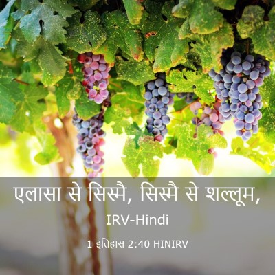 Picture 03 - 1 इतिहास 2:40 HINIRV - एलासा से सिस्मै, - Bible Verse Picture