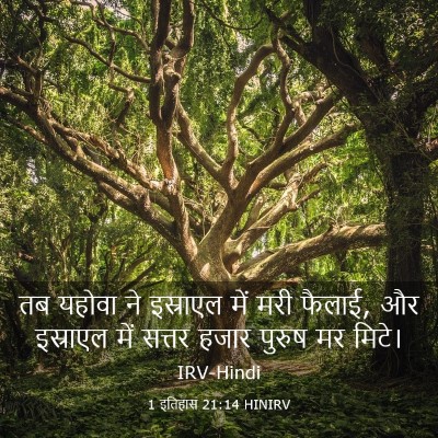 Picture 03 - 1 इतिहास 21:14 HINIRV - तब यहोवा ने - Bible Verse Picture