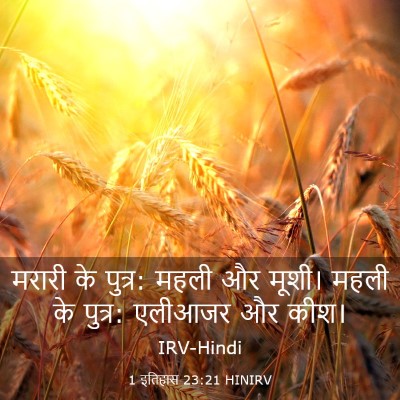 Picture 03 - 1 इतिहास 23:21 HINIRV - मरारी के पुत्र: - Bible Verse Picture