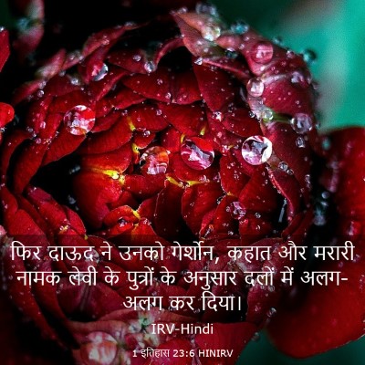 Picture 03 - 1 इतिहास 23:6 HINIRV - फिर दाऊद ने उनको - Bible Verse Picture
