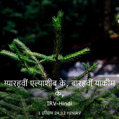 Picture 03 - 1 इतिहास 24:12 HINIRV - ग्यारहवीं - Bible Verse Picture