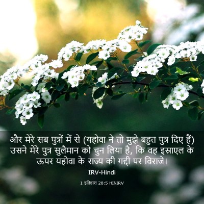 Picture 03 - 1 इतिहास 28:5 HINIRV - और मेरे सब पुत्रों - Bible Verse Picture