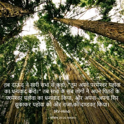 Picture 03 - 1 इतिहास 29:20 HINIRV - तब दाऊद ने सारी सभा - Bible Verse Picture