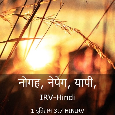 Picture 03 - 1 इतिहास 3:7 HINIRV - नोगह, नेपेग, - Bible Verse Picture