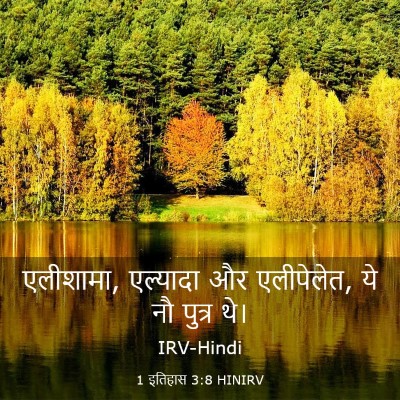 Picture 03 - 1 इतिहास 3:8 HINIRV - एलीशामा, एल्यादा - Bible Verse Picture