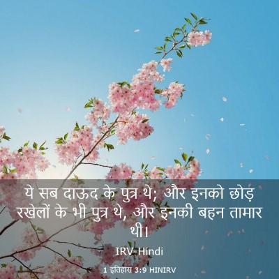 Picture 03 - 1 इतिहास 3:9 HINIRV - ये सब दाऊद के पुत्र - Bible Verse Picture