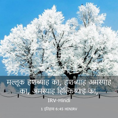Picture 03 - 1 इतिहास 6:45 HINIRV - मल्लूक हशब्याह का, - Bible Verse Picture