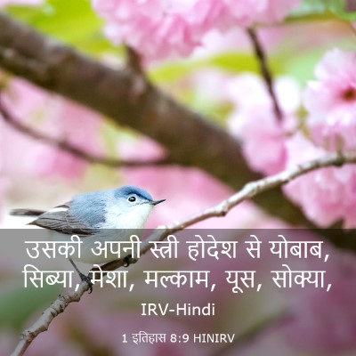 Picture 03 - 1 इतिहास 8:9 HINIRV - उसकी अपनी स्त्री - Bible Verse Picture