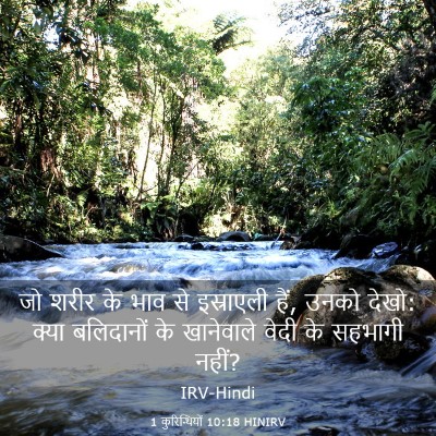 Picture 03 - 1 कुरिन्थियों 10:18 HINIRV - जो शरीर के भाव से - Bible Verse Picture