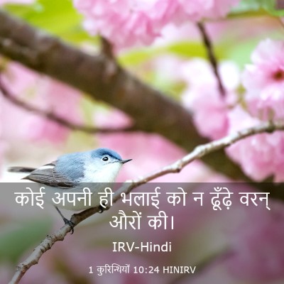 Picture 03 - 1 कुरिन्थियों 10:24 HINIRV - कोई अपनी ही भलाई को - Bible Verse Picture