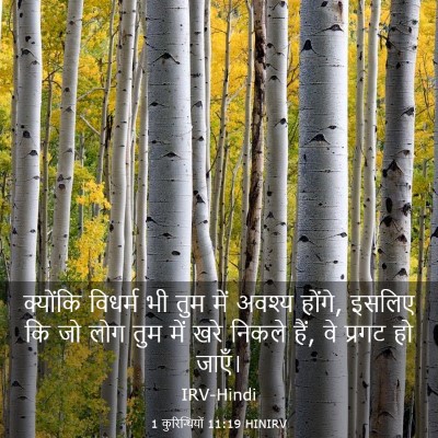 Picture 03 - 1 कुरिन्थियों 11:19 HINIRV - क्योंकि विधर्म भी - Bible Verse Picture