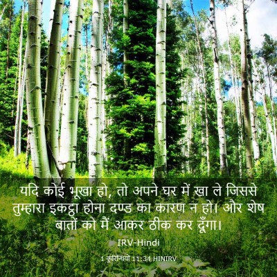 Picture 03 - 1 कुरिन्थियों 11:34 HINIRV - यदि कोई भूखा हो, तो - Bible Verse Picture