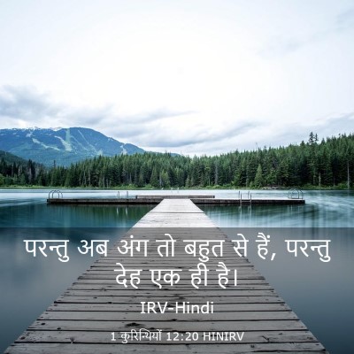 Picture 03 - 1 कुरिन्थियों 12:20 HINIRV - परन्तु अब अंग तो - Bible Verse Picture