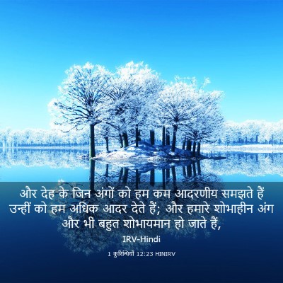Picture 03 - 1 कुरिन्थियों 12:23 HINIRV - और देह के जिन अंगों - Bible Verse Picture