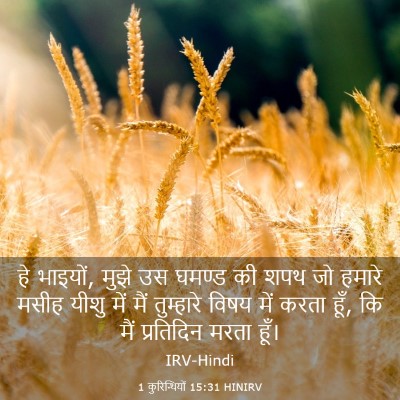 Picture 03 - 1 कुरिन्थियों 15:31 HINIRV - हे भाइयों, मुझे उस - Bible Verse Picture