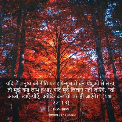 Picture 03 - 1 कुरिन्थियों 15:32 HINIRV - यदि मैं मनुष्य की - Bible Verse Picture
