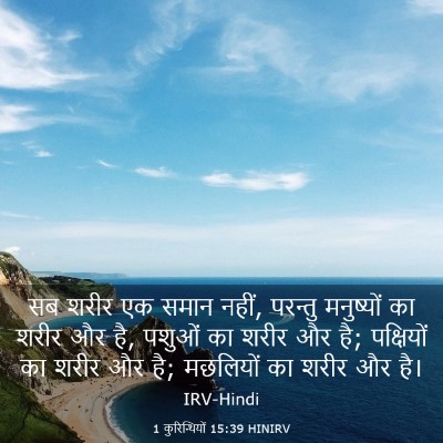 Picture 03 - 1 कुरिन्थियों 15:39 HINIRV - सब शरीर एक समान - Bible Verse Picture