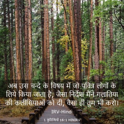 Picture 03 - 1 कुरिन्थियों 16:1 HINIRV - अब उस चन्दे के विषय - Bible Verse Picture