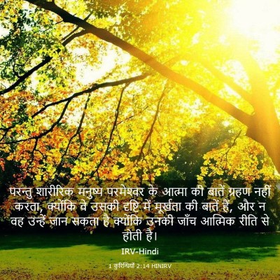 Picture 03 - 1 कुरिन्थियों 2:14 HINIRV - परन्तु शारीरिक - Bible Verse Picture