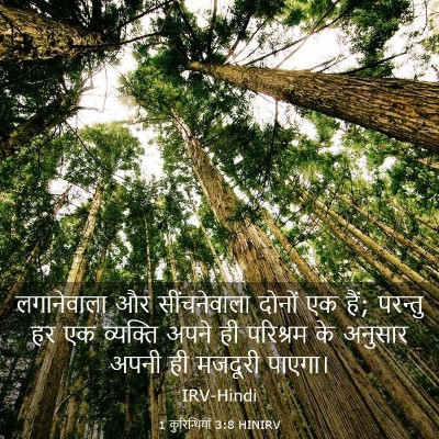 Picture 03 - 1 कुरिन्थियों 3:8 HINIRV - लगानेवाला और - Bible Verse Picture