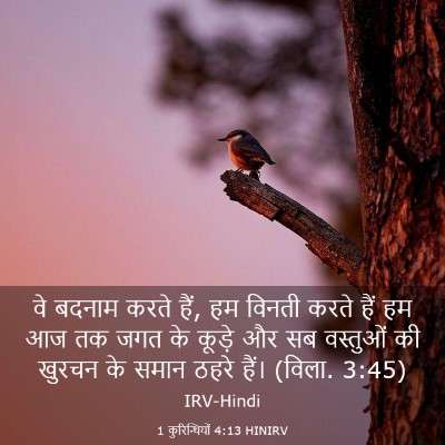 Picture 03 - 1 कुरिन्थियों 4:13 HINIRV - वे बदनाम करते हैं, - Bible Verse Picture