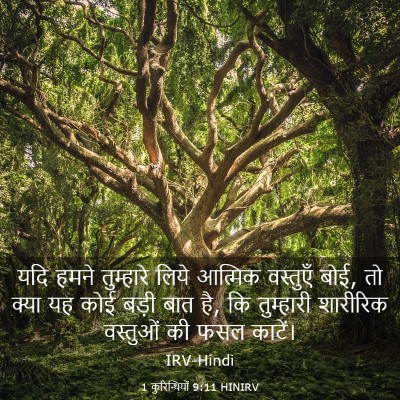 Picture 03 - 1 कुरिन्थियों 9:11 HINIRV - यदि हमने तुम्हारे - Bible Verse Picture
