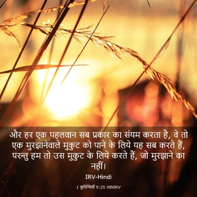 Picture 03 - 1 कुरिन्थियों 9:25 HINIRV - और हर एक पहलवान सब - Bible Verse Picture