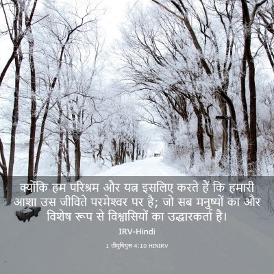 Picture 03 - 1 तीमुथियुस 4:10 HINIRV - क्योंकि हम - Bible Verse Picture