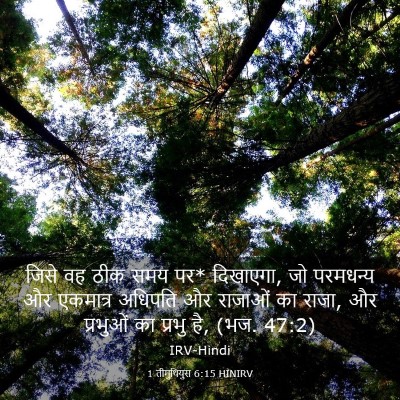 Picture 03 - 1 तीमुथियुस 6:15 HINIRV - जिसे वह ठीक समय पर* - Bible Verse Picture